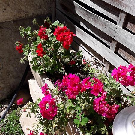 Apartament Le Rebattu 3 Raphèle Zewnętrze zdjęcie